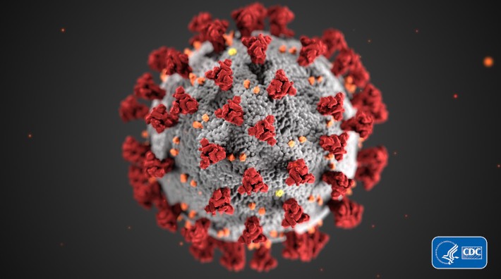 Corona virus