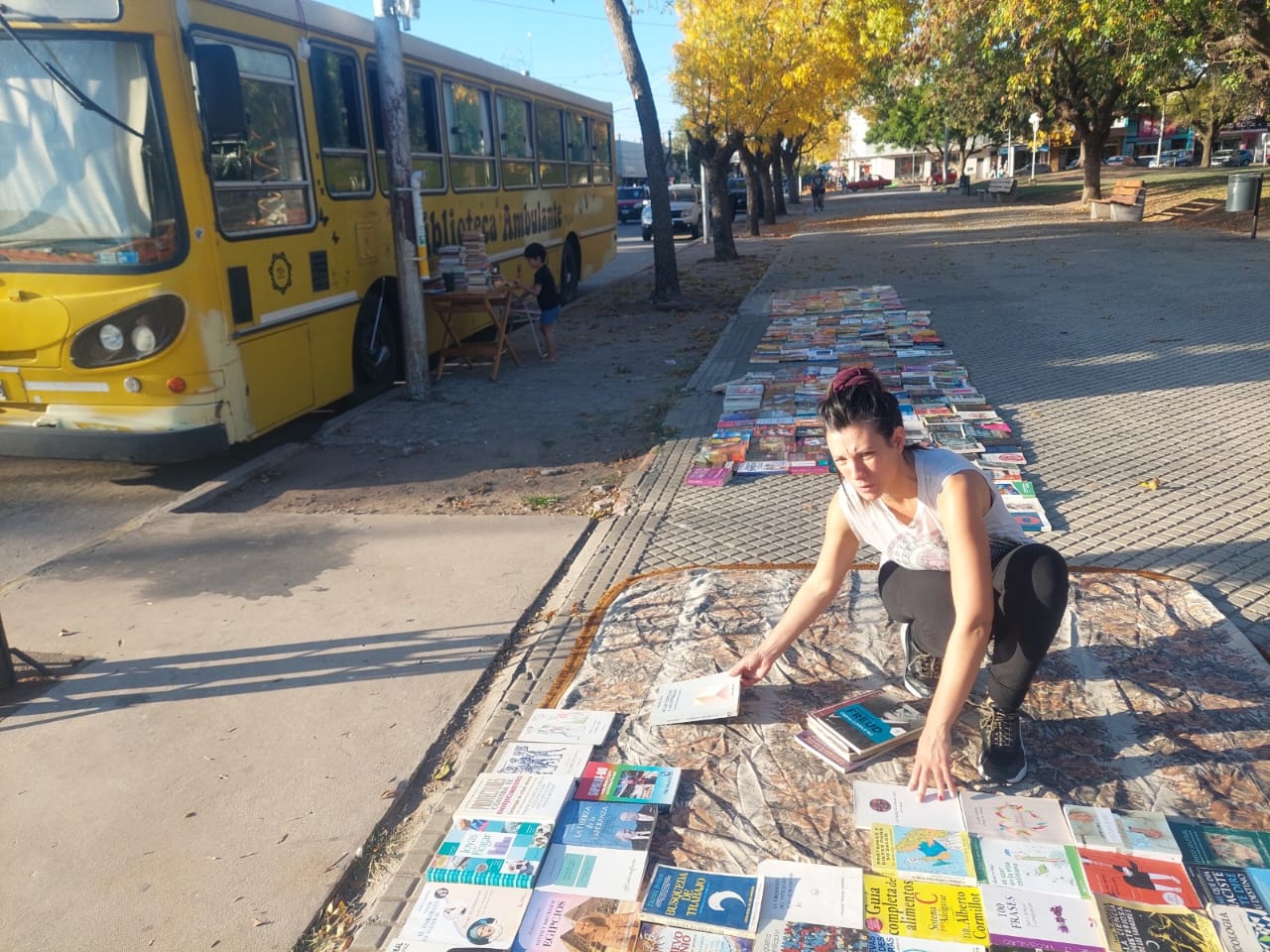 Biblioteca ambulante 2