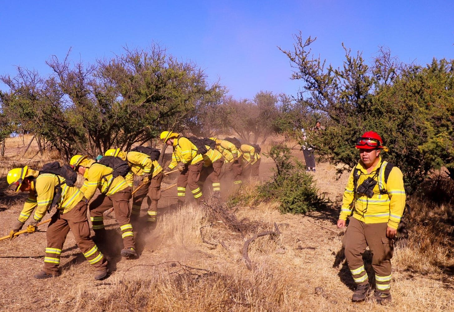 Avances en prevención de incendios forestales en Chile