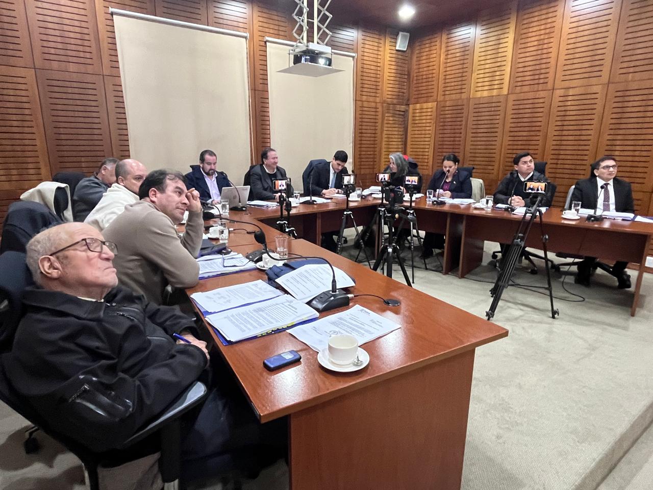 Aprobado Plan de Acción Comunal de Cambio Climático en Talca