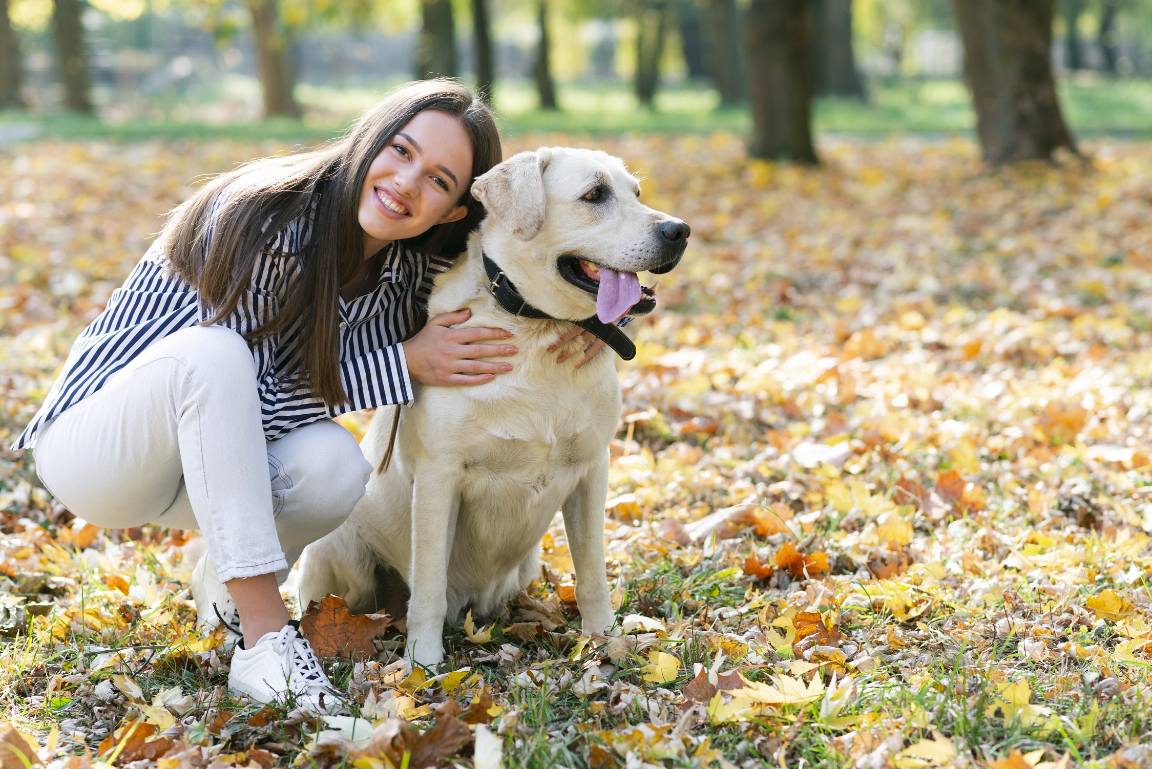 Perro Rol Día del Perro: destacan su rol en la salud emocional y llaman a una ...
