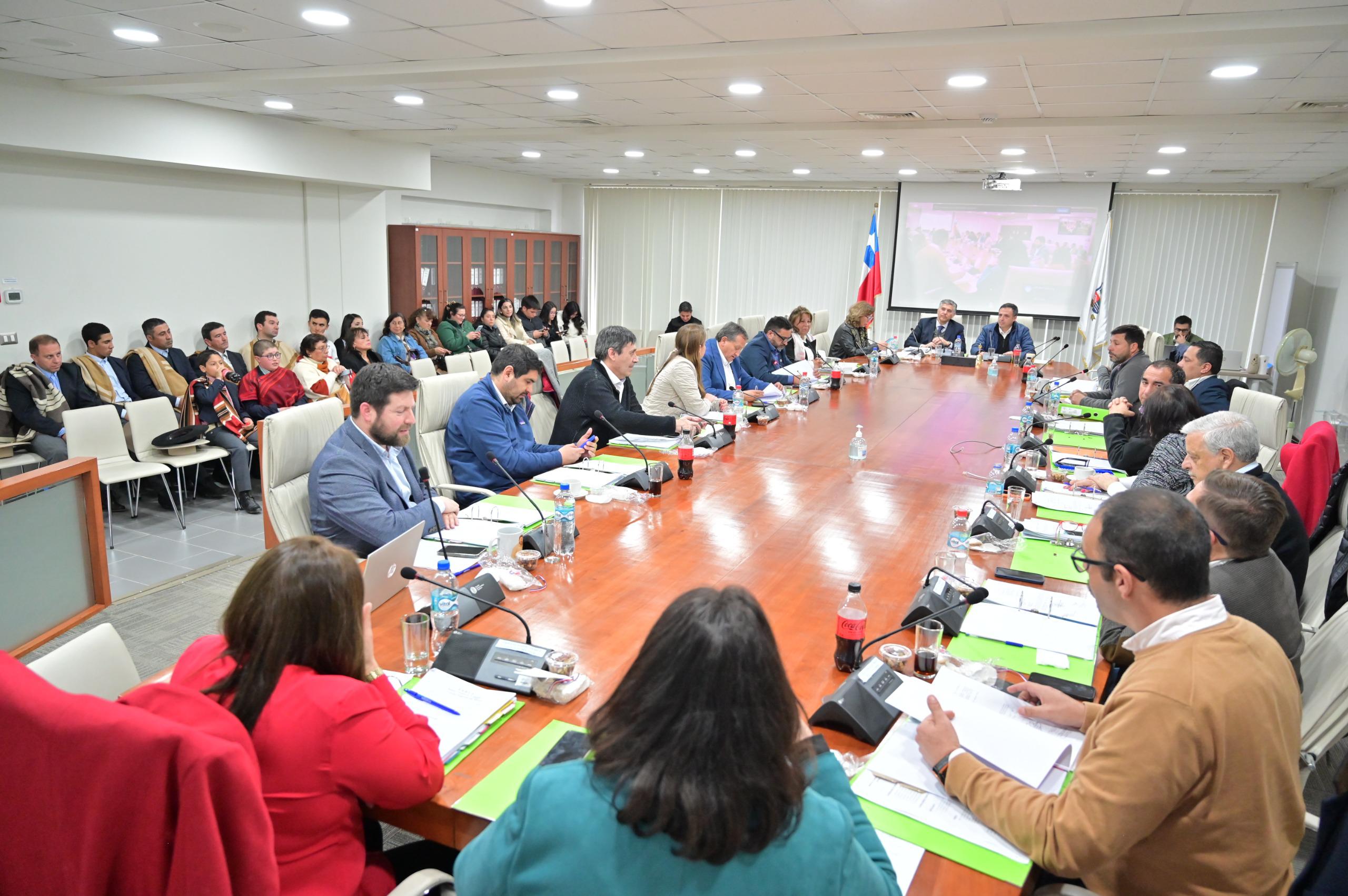 CORE Maule aprueba recursos para deportistas y proyectos culturales