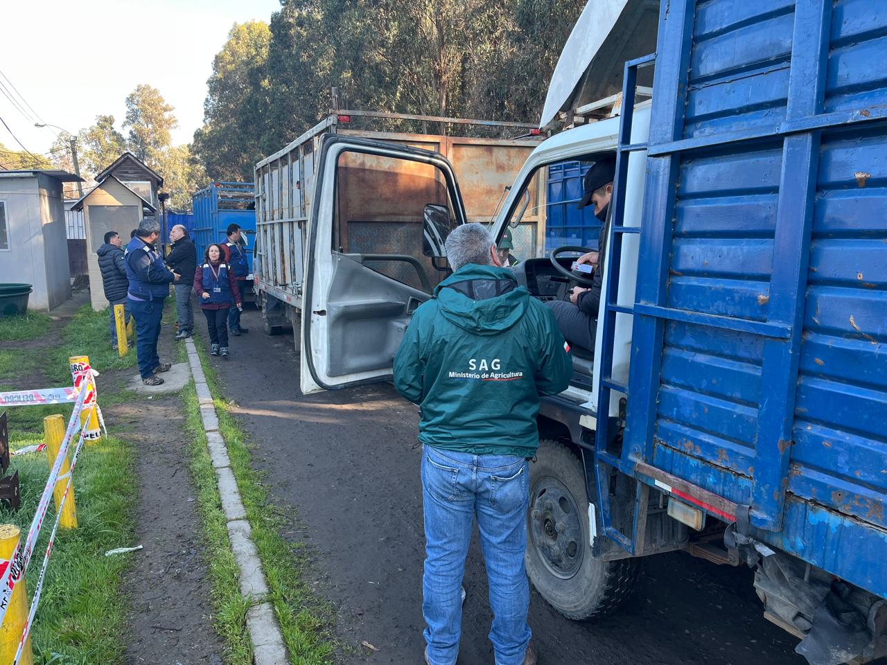 Fiscalización abigeato deja sumarios sanitarios en feria ganado