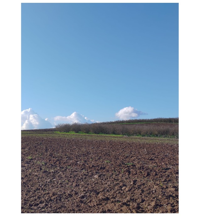 ARAZİ UZMANI RECEP DAVUTOĞLU'NDAN YATIRIMLIK TARLA