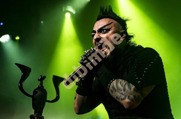 Sakarya Hayko Cepkin Konser Etkinliği