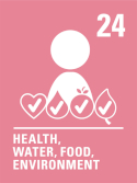 Health, water, food, environment: Article 24 - The rights of the child