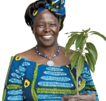 Wangari Muta Maathai (1940 - 2011, Kenya)