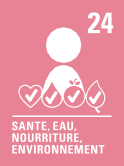 Santé, eau, nourriture, environnement : Article 24 - Les droits de l'enfant