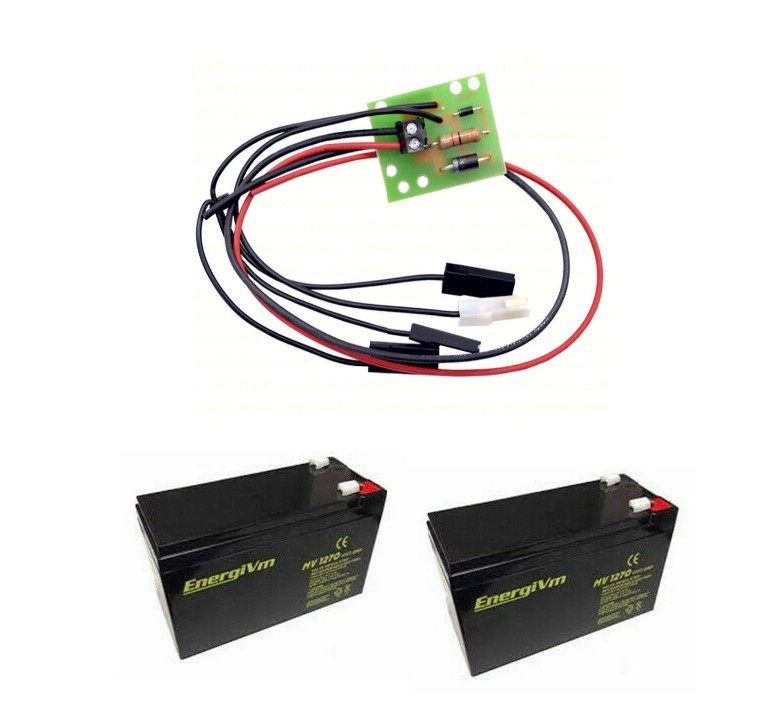 PACCO BATTERIE BATTERIA TAMPONE X PARTIC PORTE BASCULANTI SEZIONALE BASCULANTE d