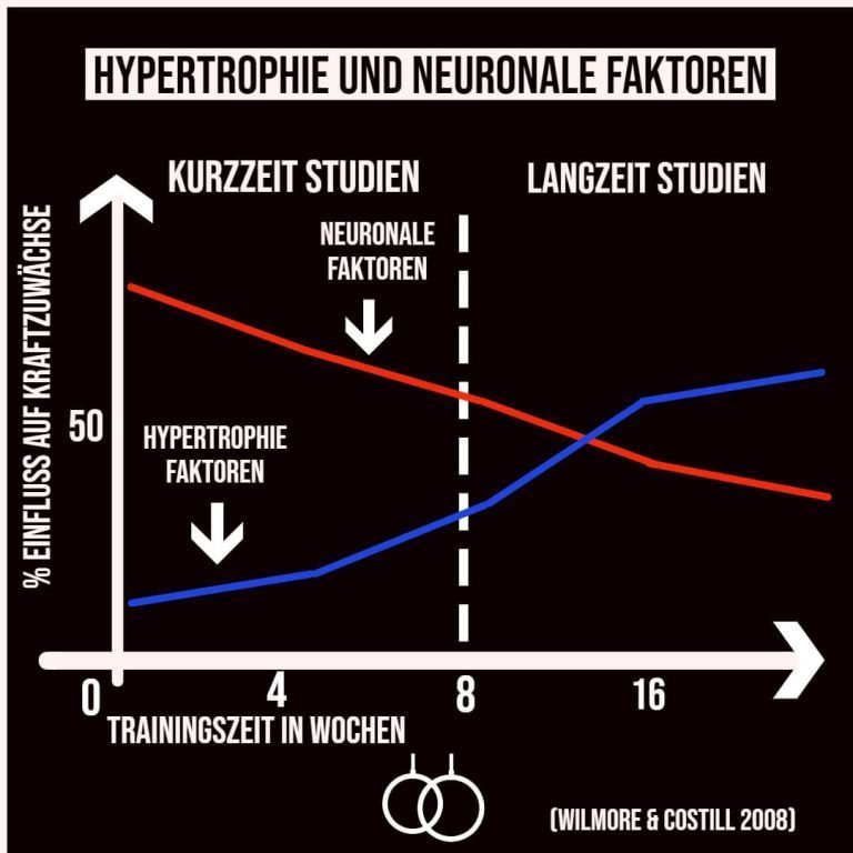 hypertrophie-und-neuronale-Faktoren-2-1-768x768.jpg