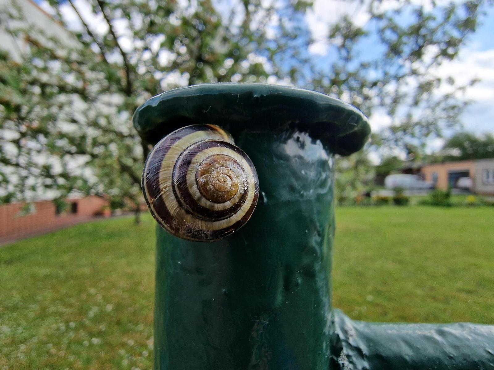 Samsung Galaxy S22 Ultra: pětioký fotografický král?