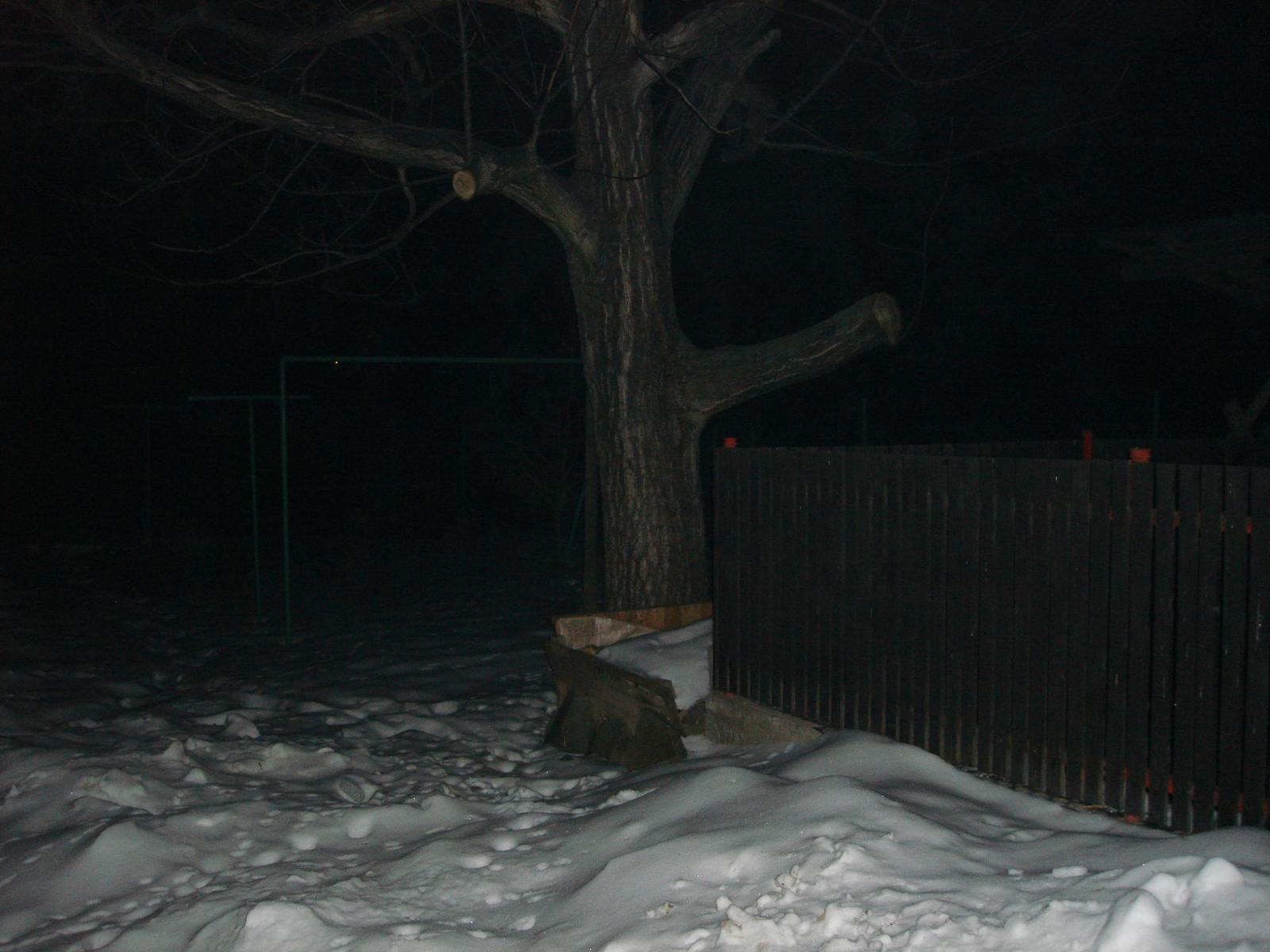 Sony Cyber-shot DSC-N1: Na dosah ruky