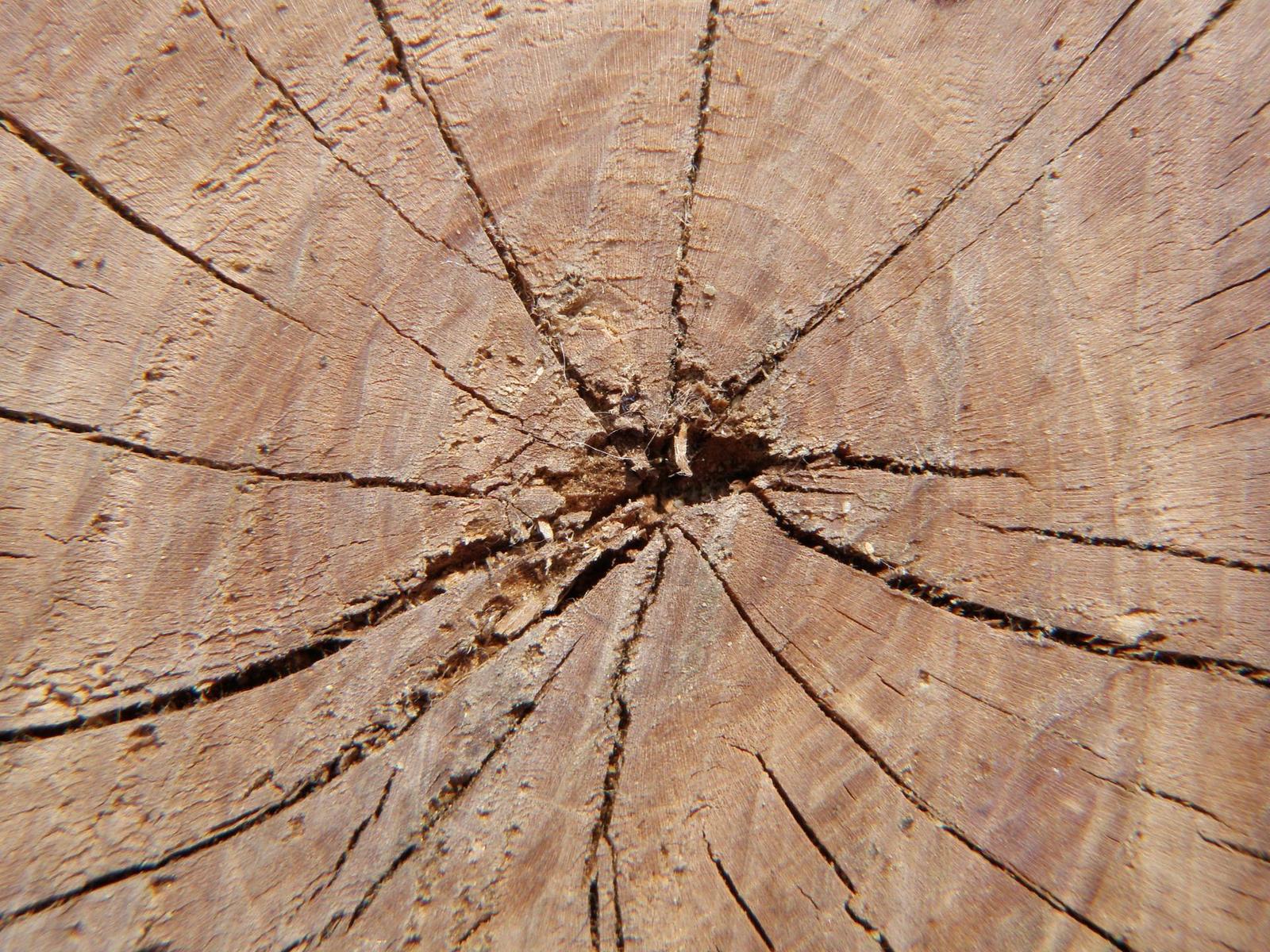 Olympus mju Tough 6000 vs. 8000: 10 proti 12