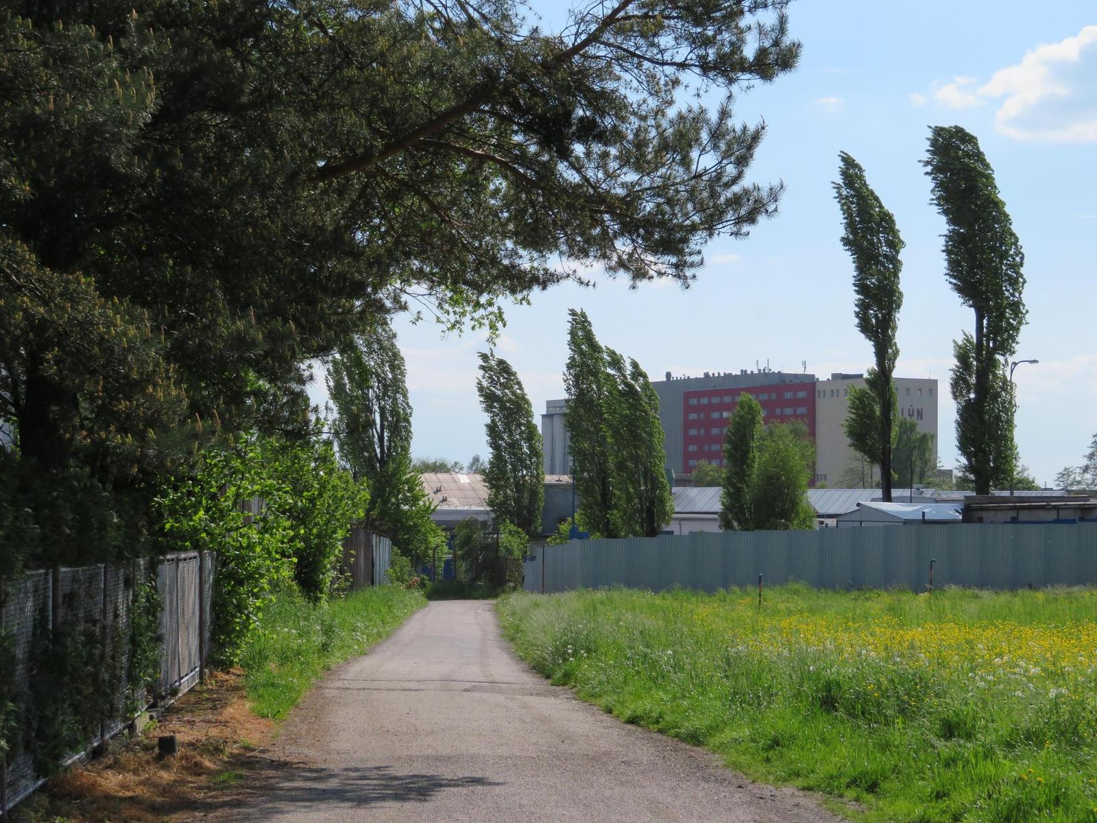 Canon PowerShot SX720 HS: kapesní šmírování