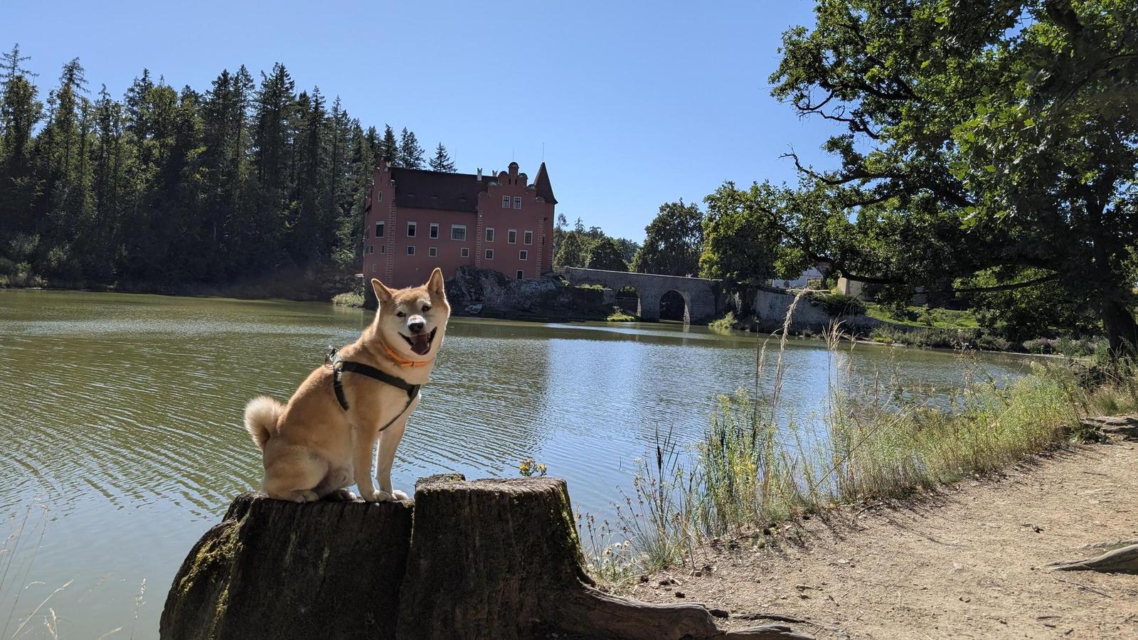 AI model LTX2 směle konkuruje placeným generátorům videí