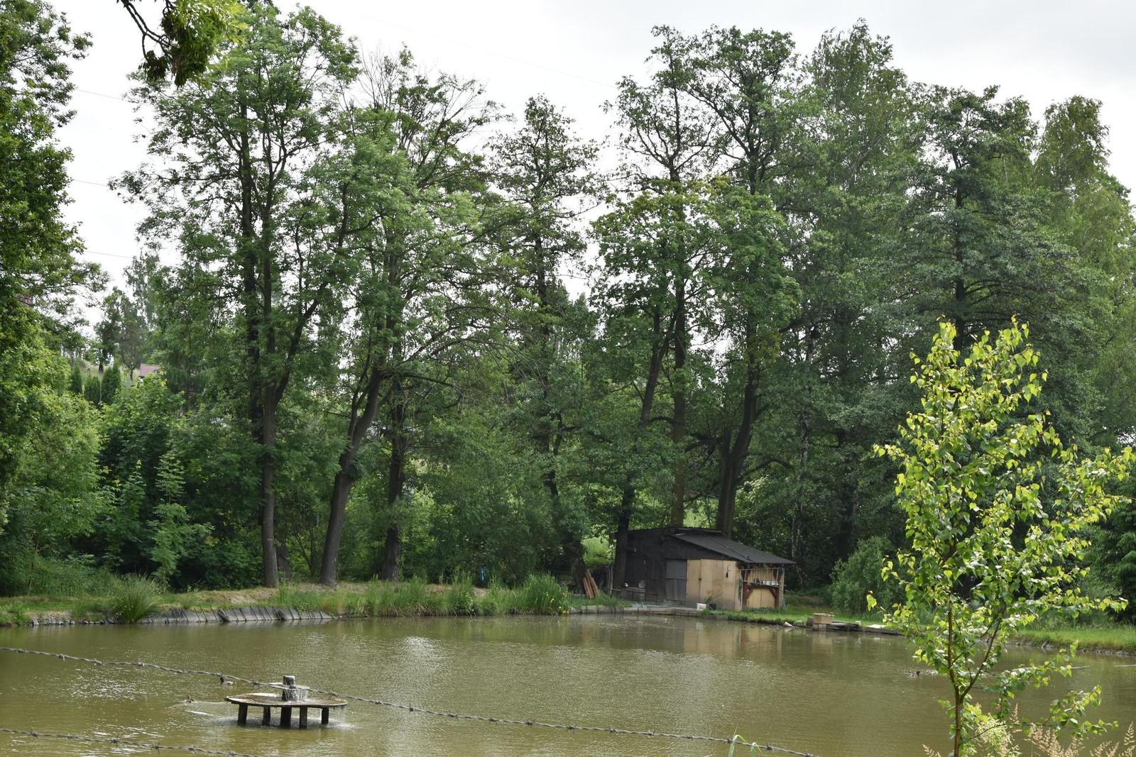 Nikon D7200: přesvědčivé zrcadlo