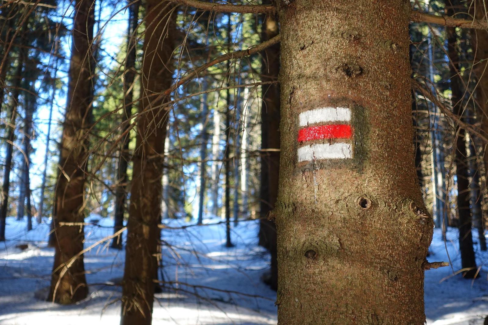 Sony Cyber-shot RX100 IV (RX100M4): zase o něco lepší