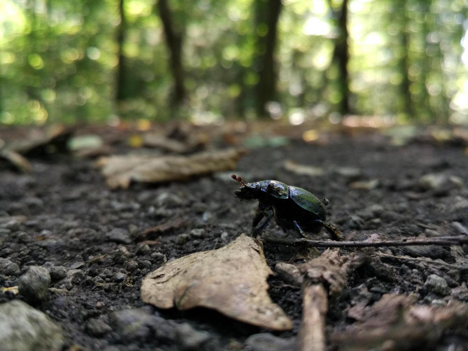 Xiaomi Mi 4C 16GB: ostřejší než břitva