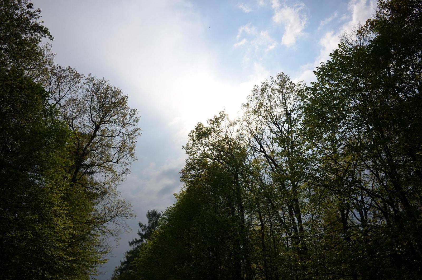 Nikon Coolpix A: velmi příjemná (ne)výraznost