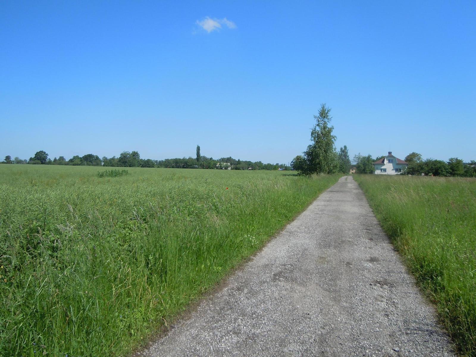 Nikon Coolpix S8000: stabilní dravec