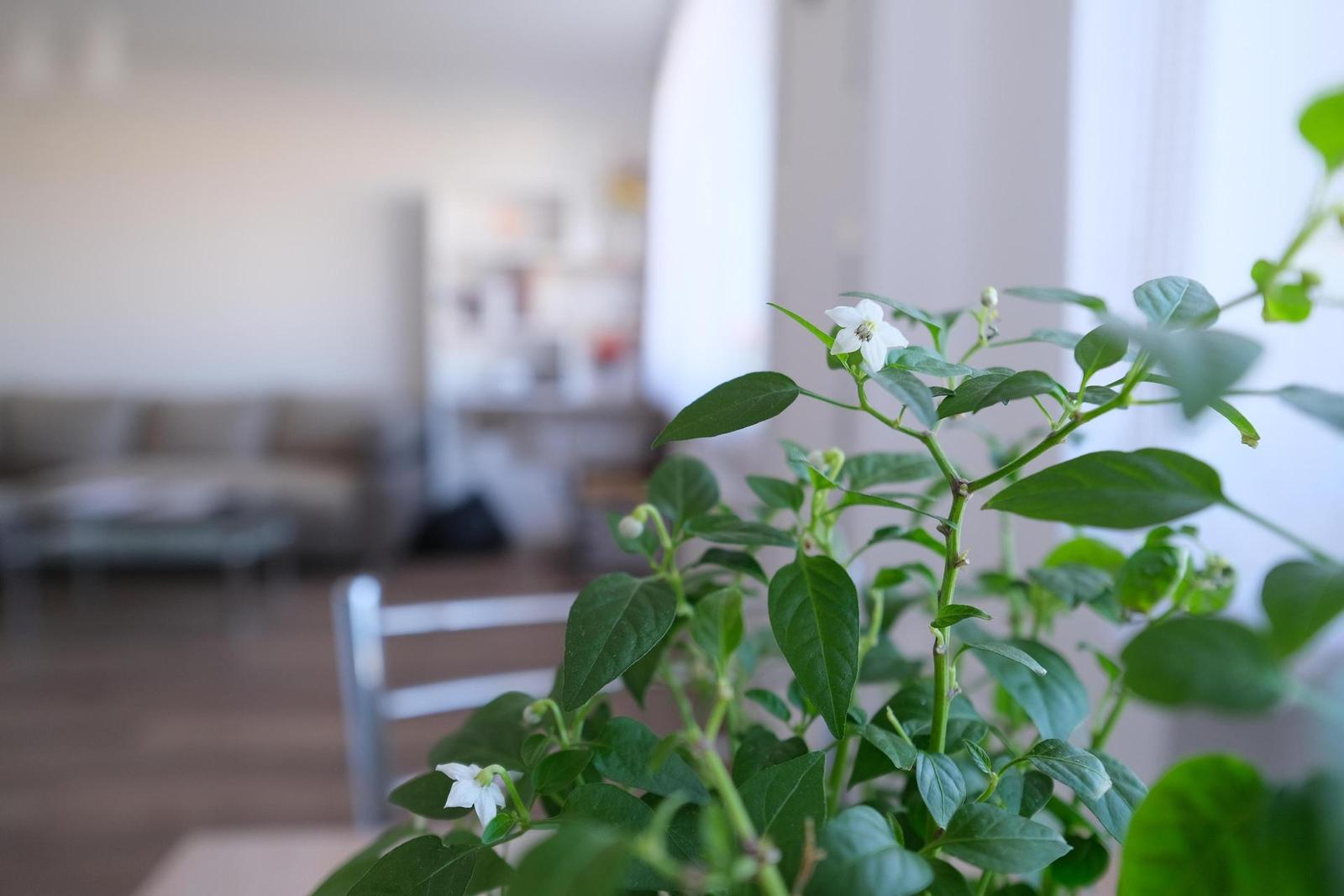 Fujinon XF 14mm F2.8 R