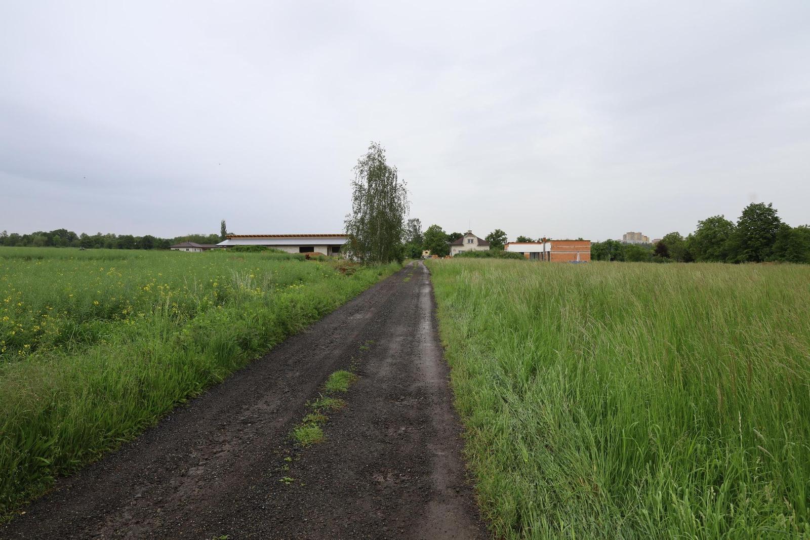 Canon EOS RP: levný full frame šikula