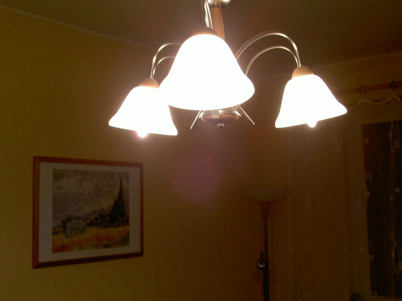 Další velmi rychlé géčko