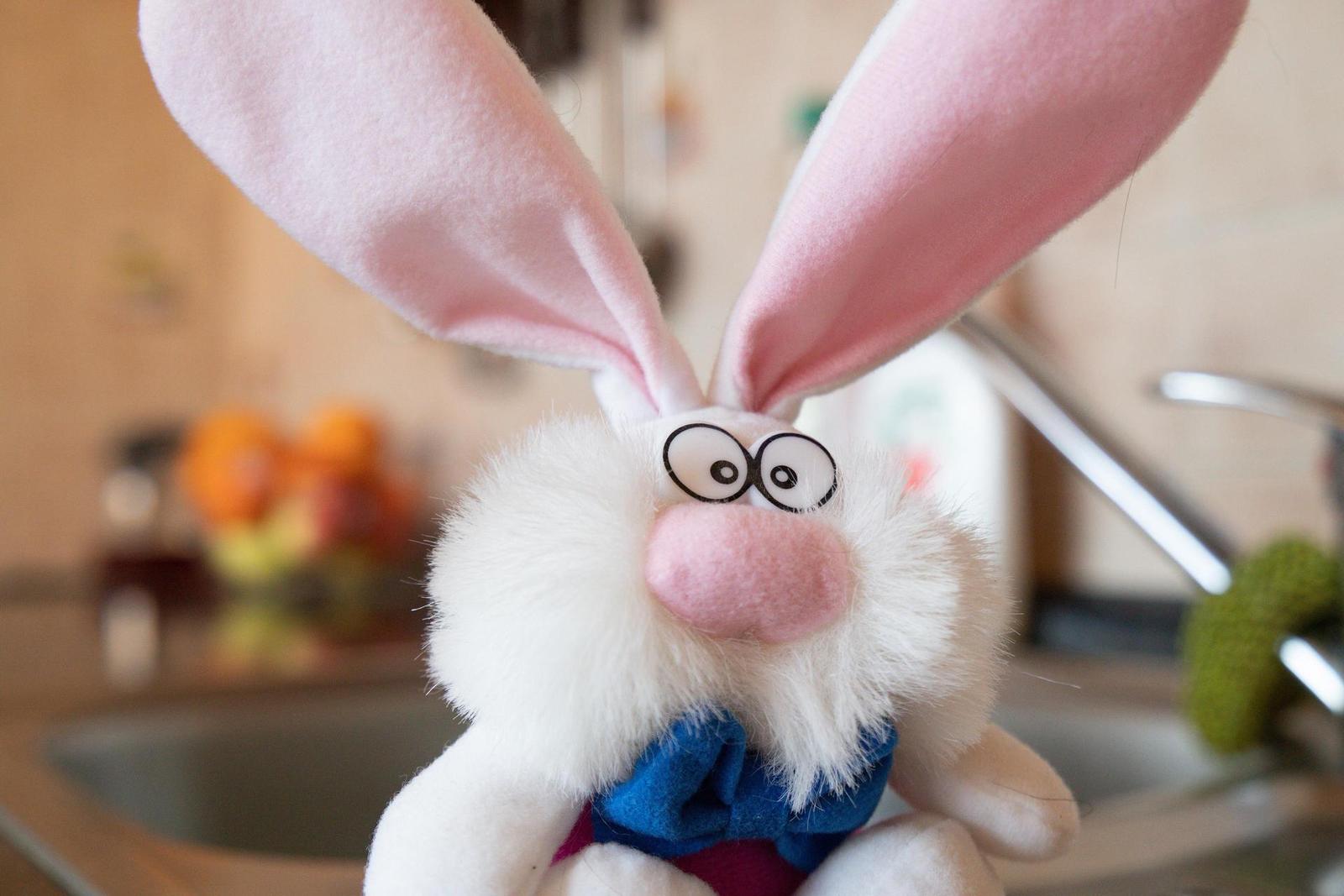 Srovnání senzorů: 4/3" vs APS-C vs Full frame