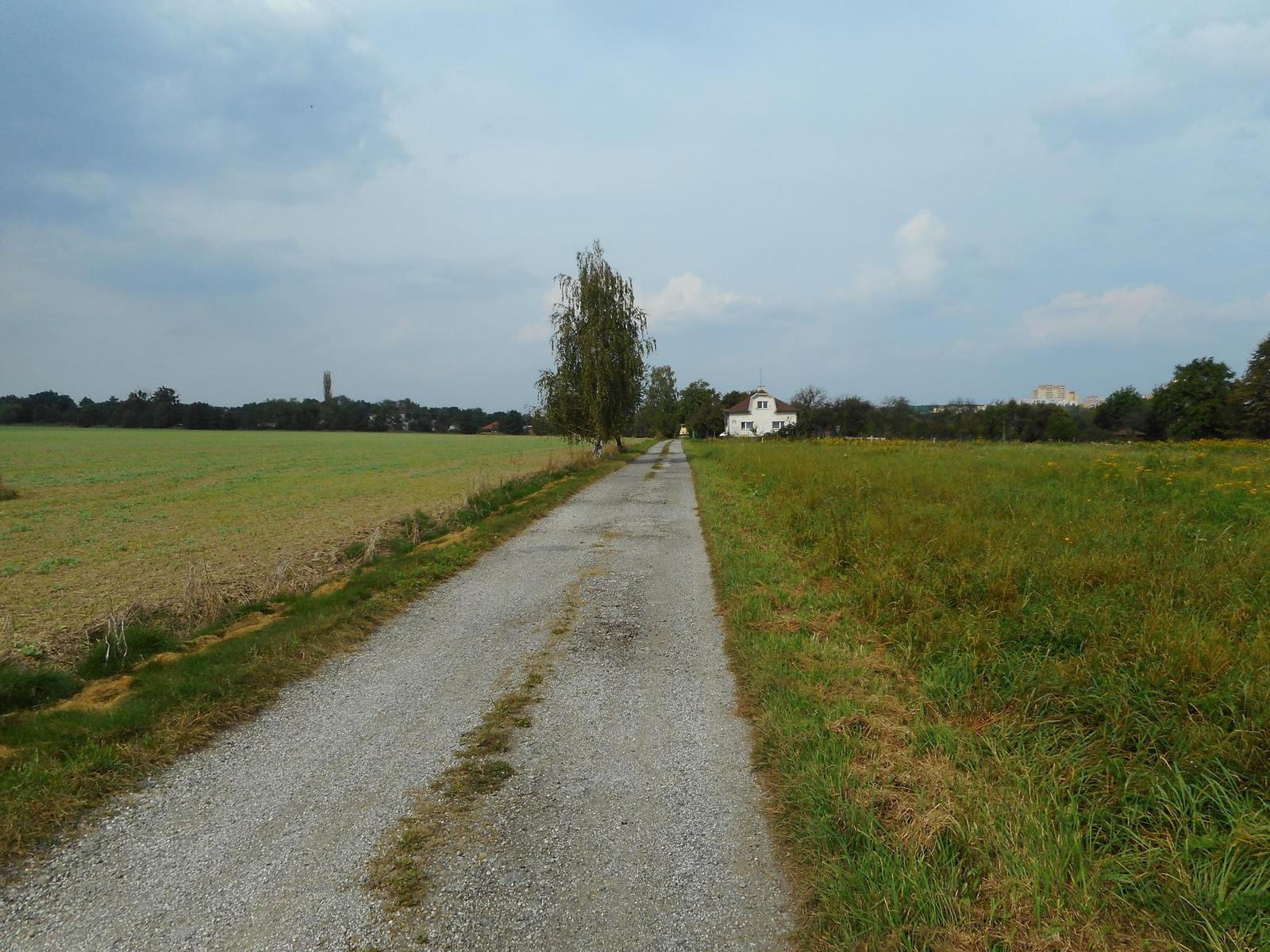 Nikon Coolpix A300: makrodrobek