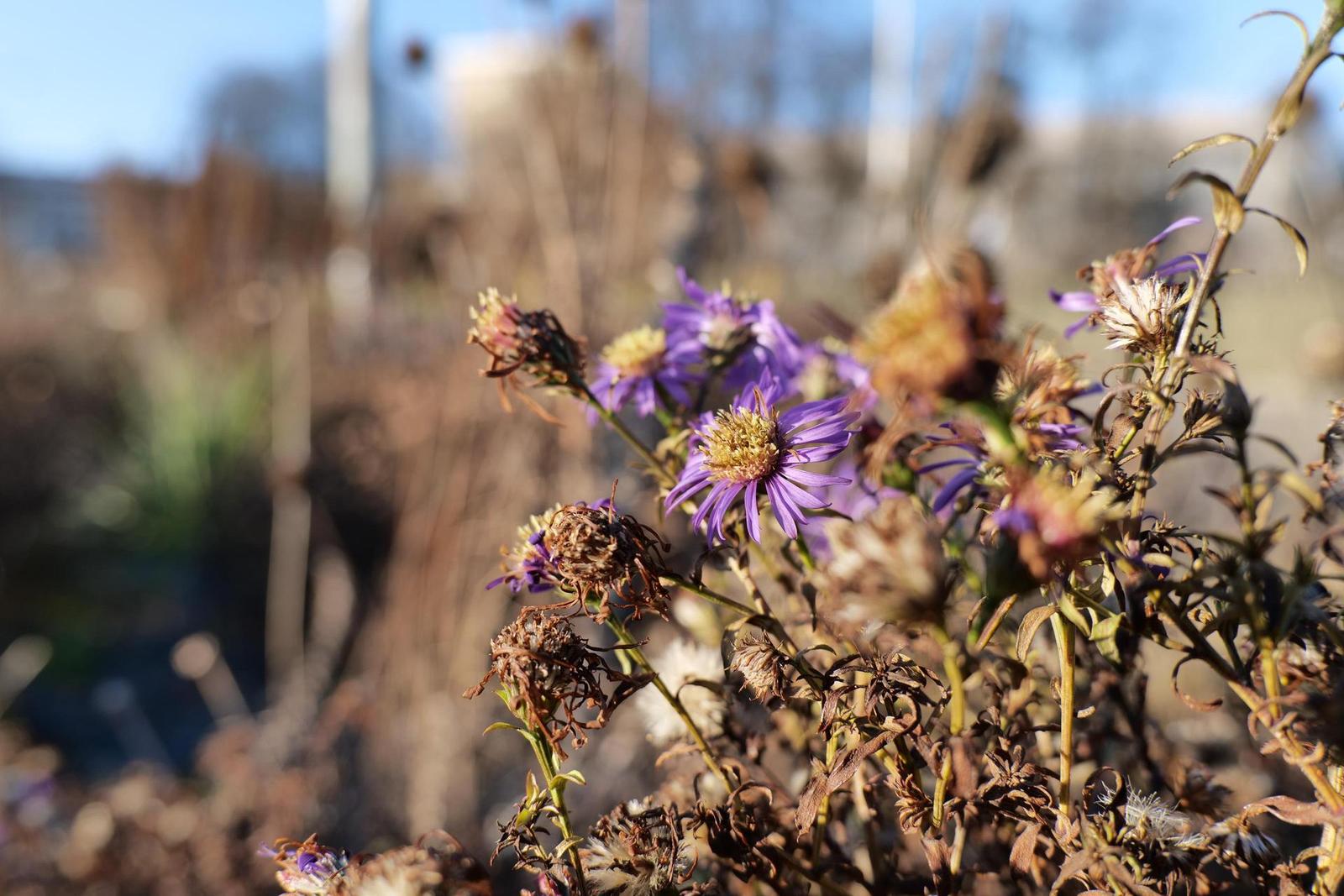 Panasonic Lumix S5: kompaktnější video-profík