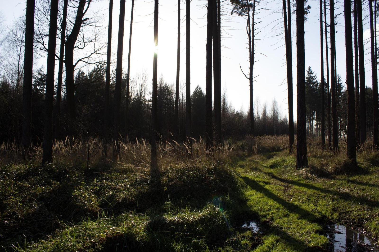 DSLR vs kompakt: Canon EOS 1200D s 18-55mm, Sony RX100