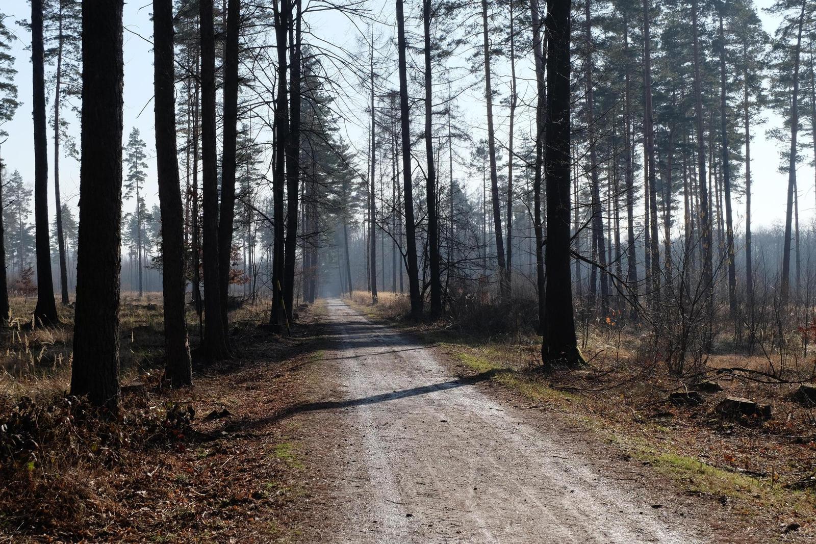 Fujinon XC 16-50mm F3.5-5.6 OIS