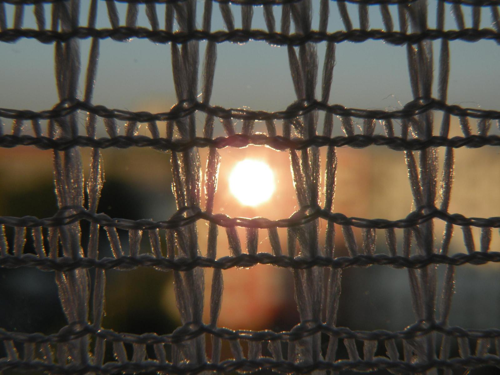 Nikon Coolpix P80: ultrazoom plný protikladů