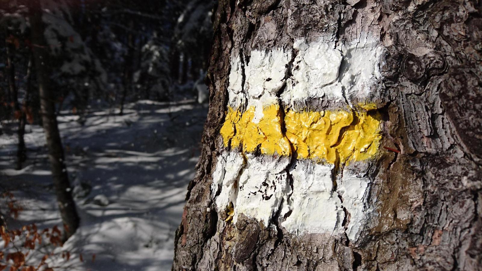 Sony Xperia Z5 a Z5 Compact: foťme širokoúhle