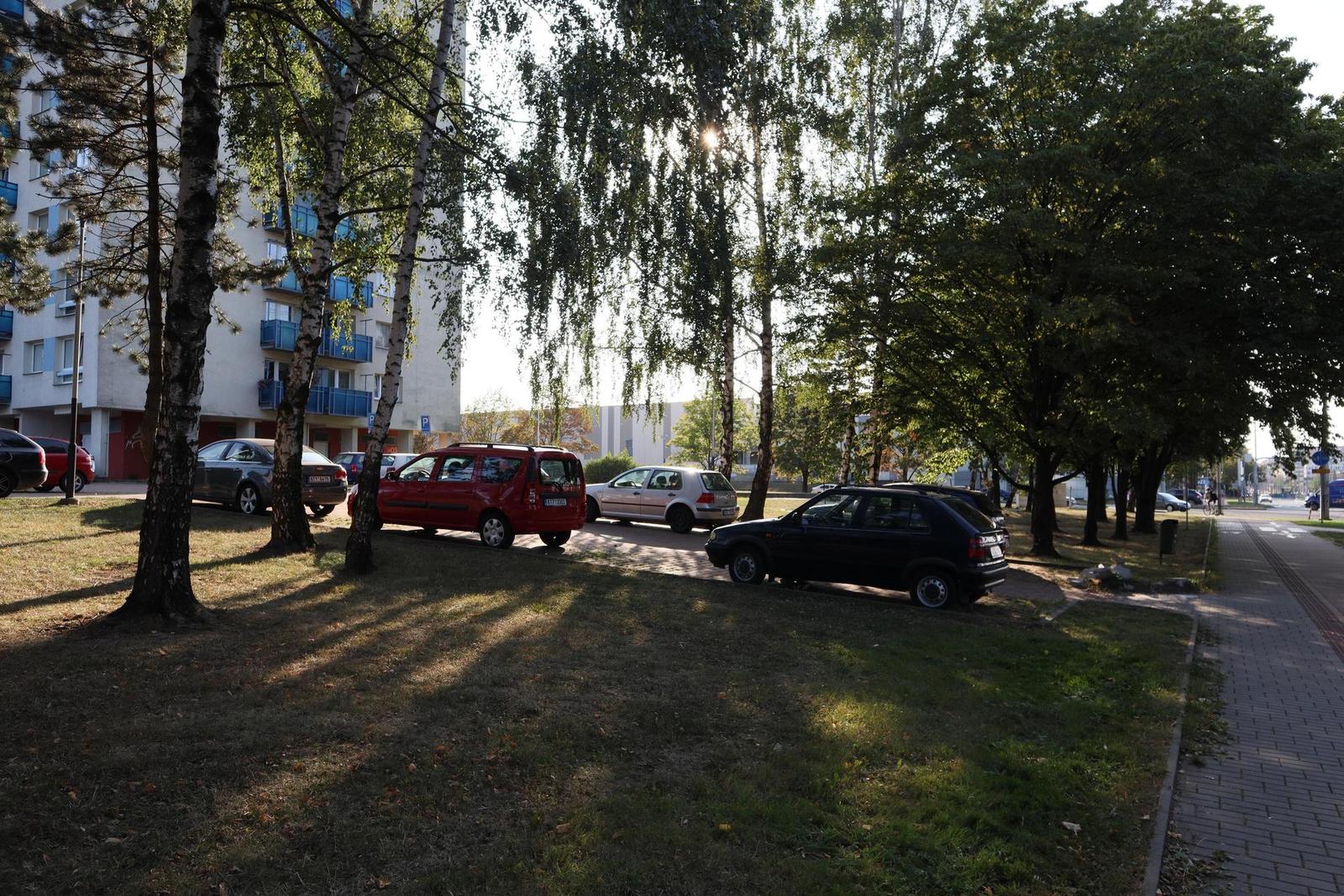 Canon EOS M50: levné 4K od Canonu