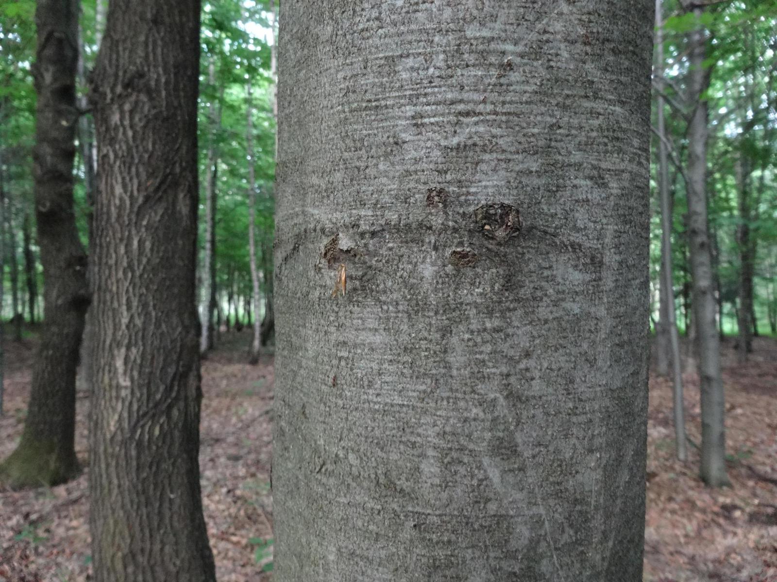 Sony Cyber-shot WX300: nejmenší dvacítka