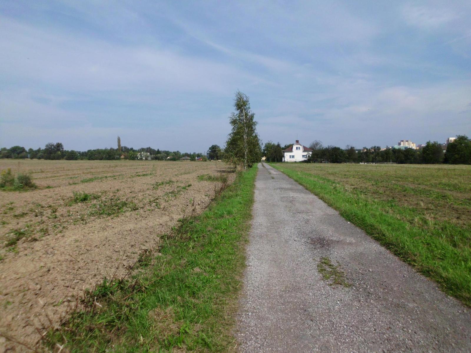 BenQ DC T1260: přítel citlivé peněženky