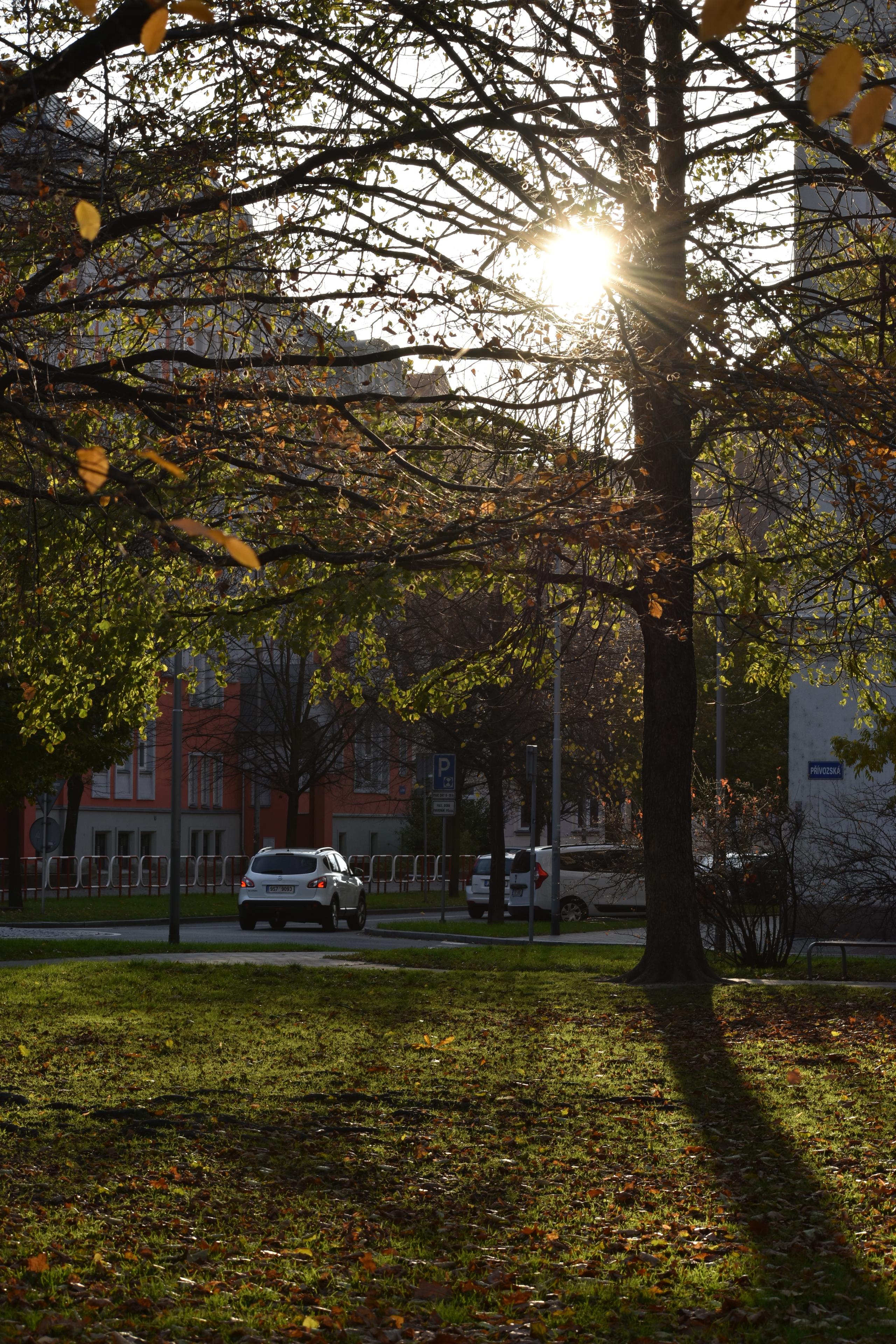 Nikon AF-P DX Nikkor 70-300 mm f/4,5-6,3G ED VR