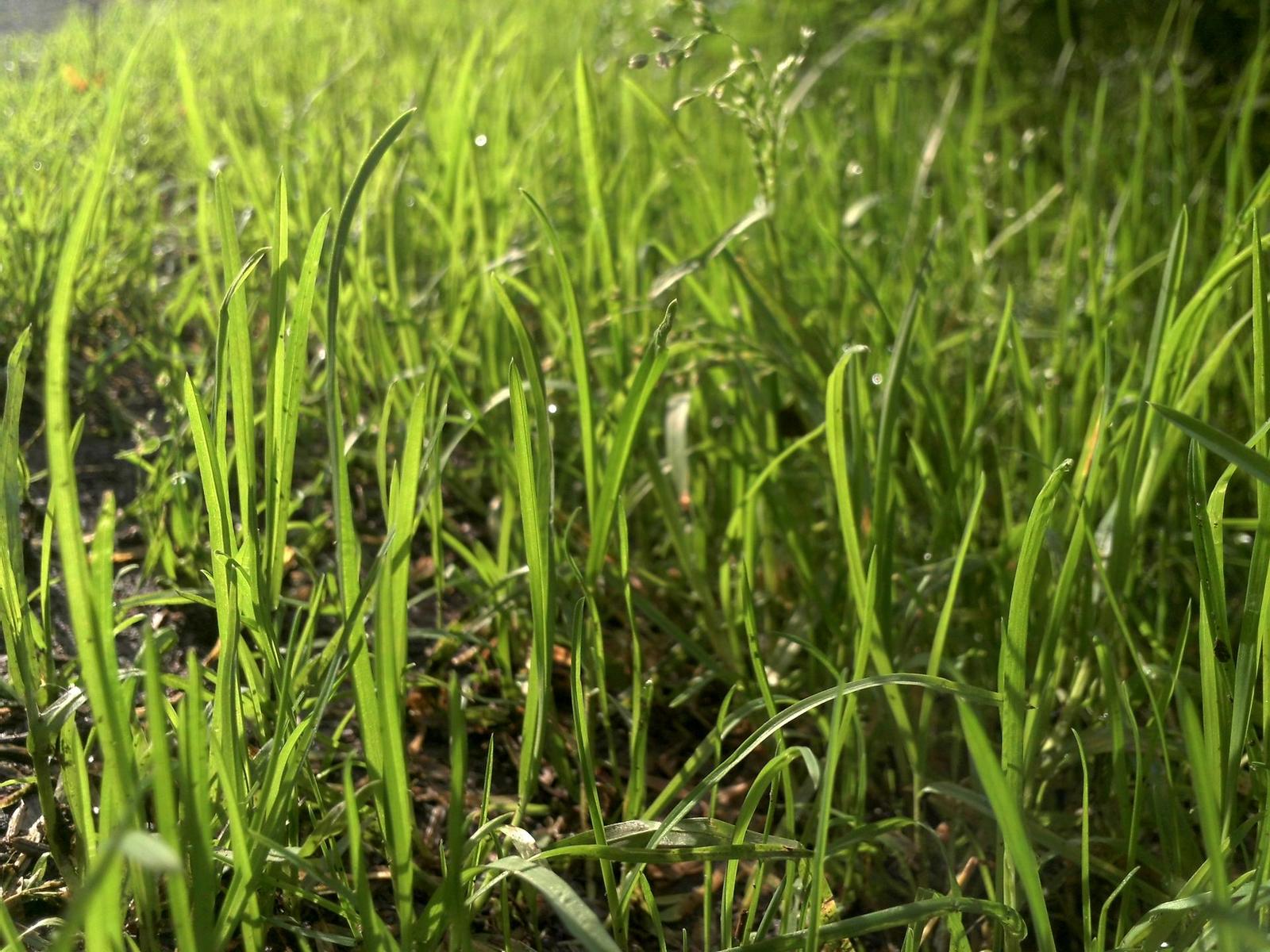 Genius G-Shot 510: vodník za pár korun