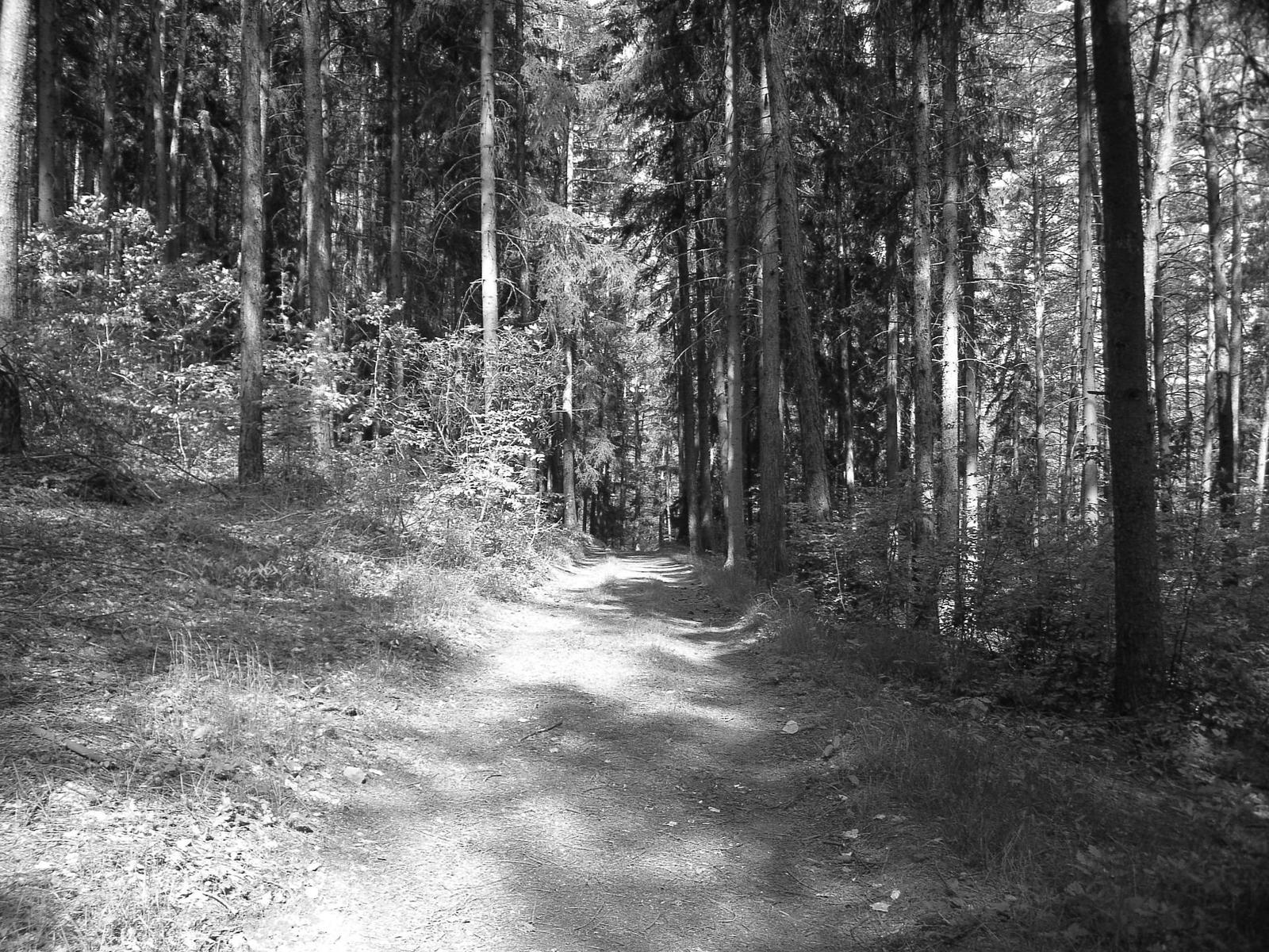 Konica Minolta Dimage E50 - pro každého něco...