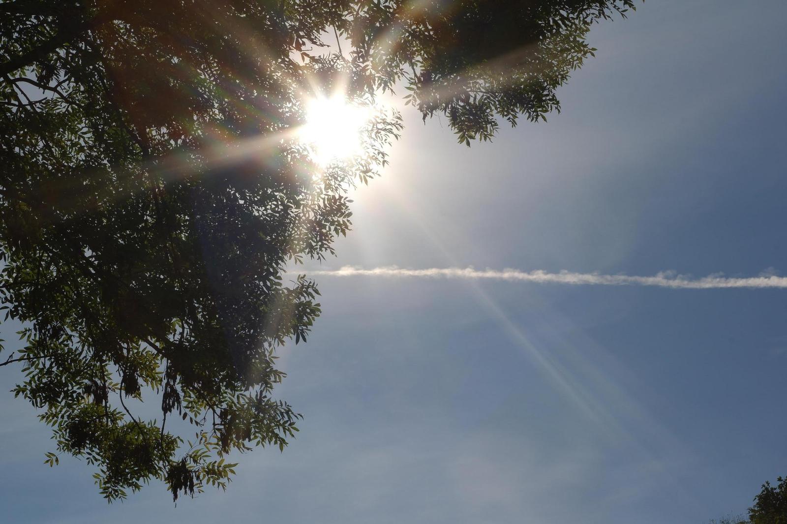 Industar-61L/D 55mm F2.8 (M39)