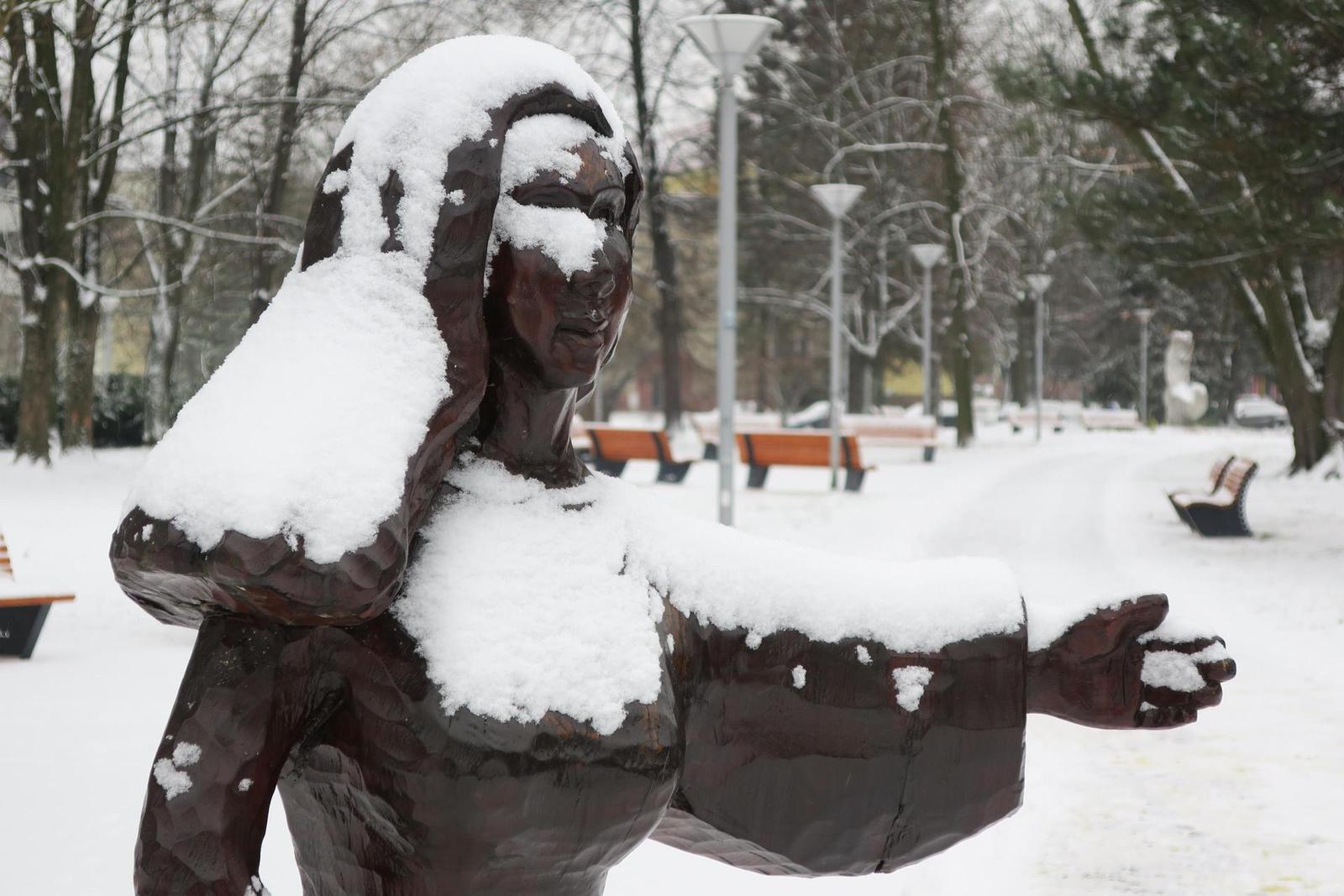 Canon PowerShot G9 X vs Sony Cyber-shot RX100