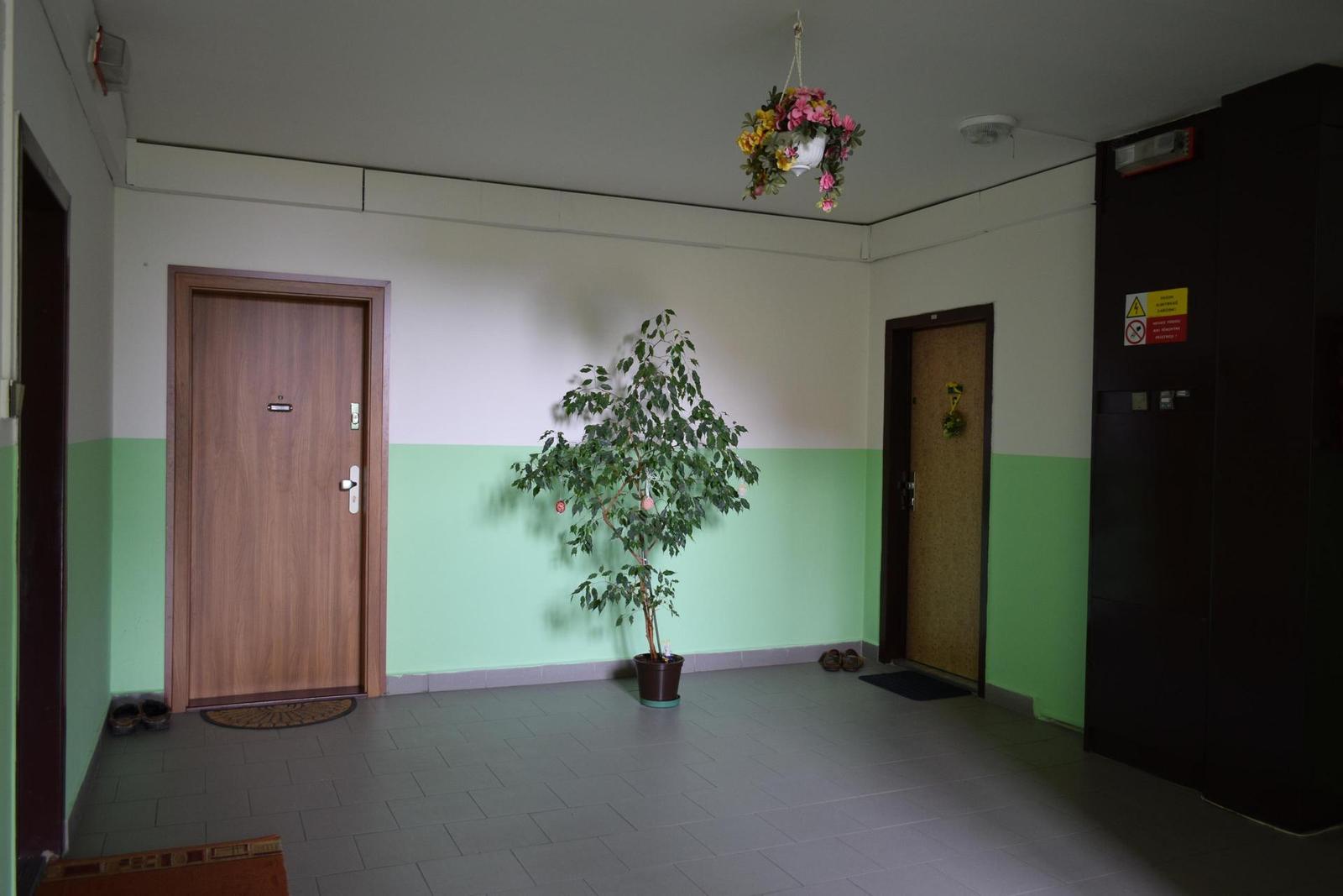 Nikon D5300: bezdrátový DSLR turista