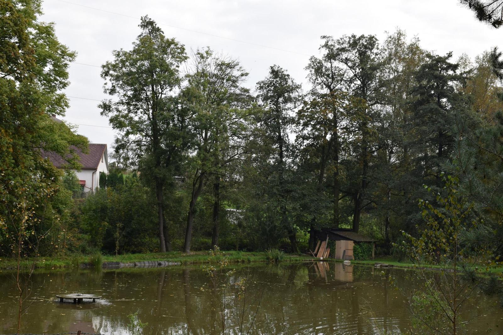 Nikon AF-S DX NIKKOR 18-140mm f/3.5-5.6G ED VR