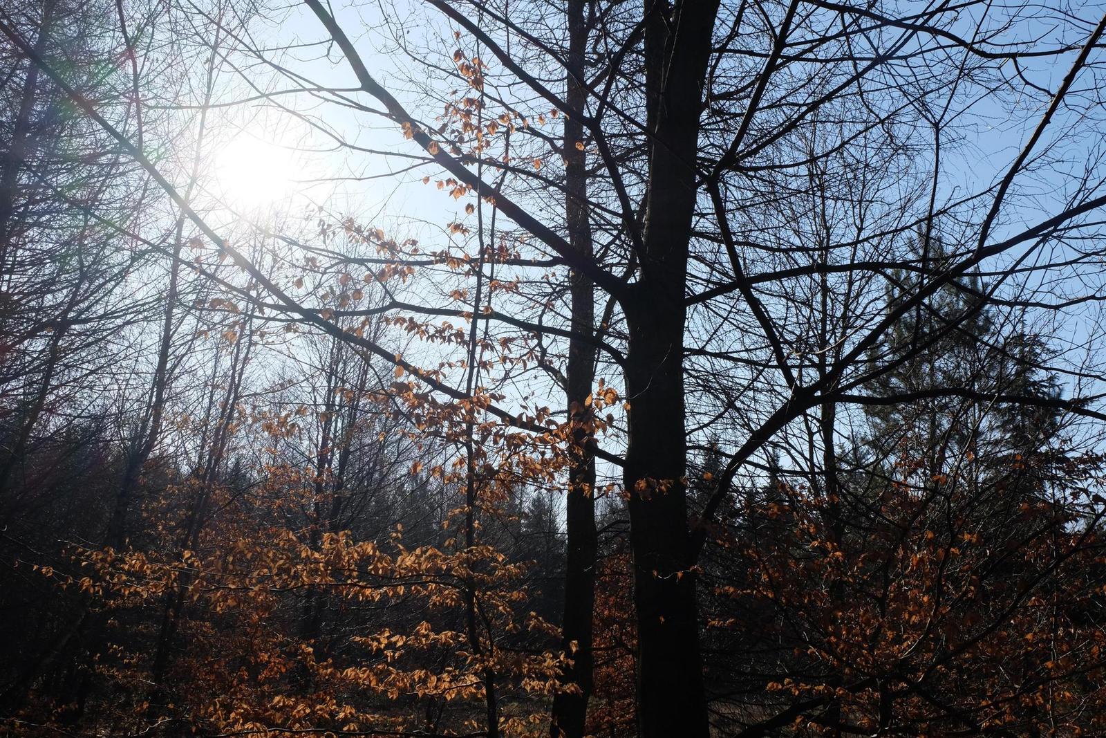 Fujinon XC 16-50mm F3.5-5.6 OIS