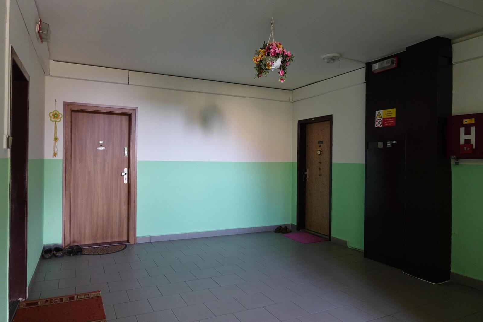 Sony Cyber-shot RX10 II: ve jménu videa