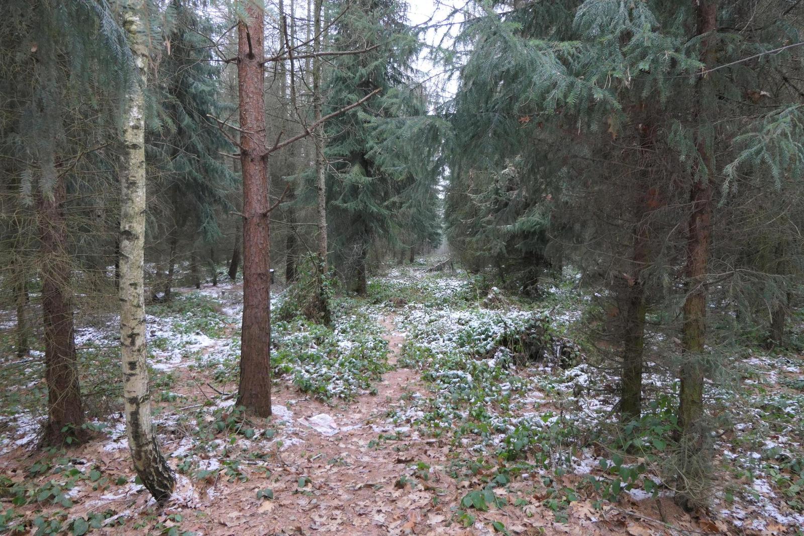 Panasonic Lumix FZ2000: ultrazoom nebo profi kamera?