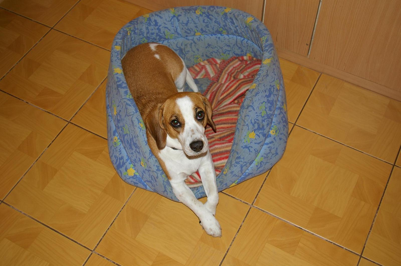 Jihokorejské elko aneb dostupná zrcadlovka GX-1L