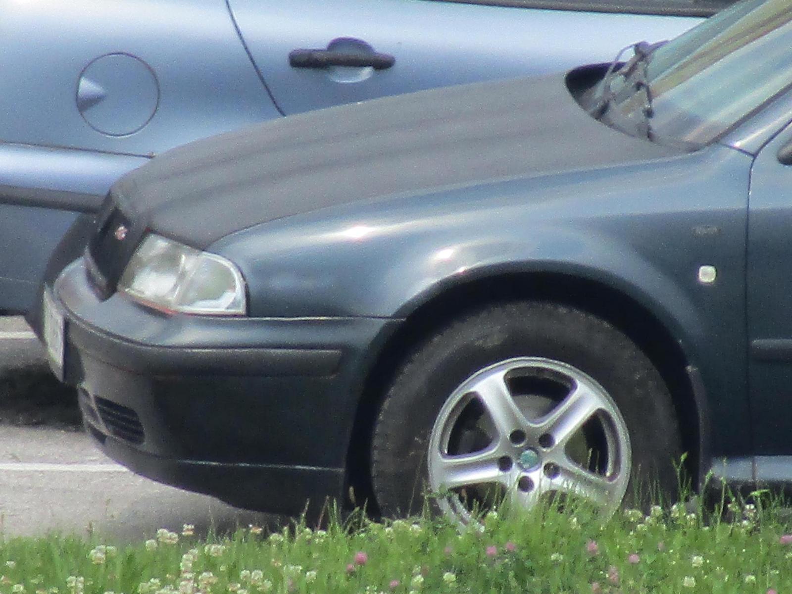 Canon PowerShot SX430 IS: milovník přírody