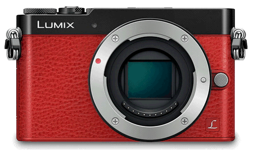 Malý Panasonic Lumix GM5 dostal EVF
